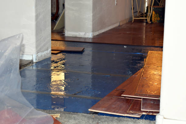 Professional Sewage Cleanup technician working in Creston, IA